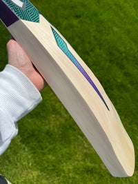 DSC RS040 Lightweight Cricket Bat Short Handle 2lbs 9oz