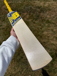 New Balance BURN600i Lightweight Cricket Bat