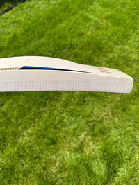 SS TON Players 5000 Nicholas Pooran Cricket Bat Short Handle 2lbs 9oz