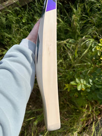 DSC RS 040 Cricket Bat Short Handle 2lbs 9oz