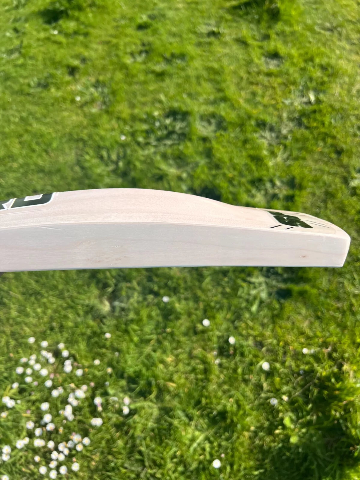 SF Sapphire Heritage Cricket Bat 2lbs 9oz Short Handle