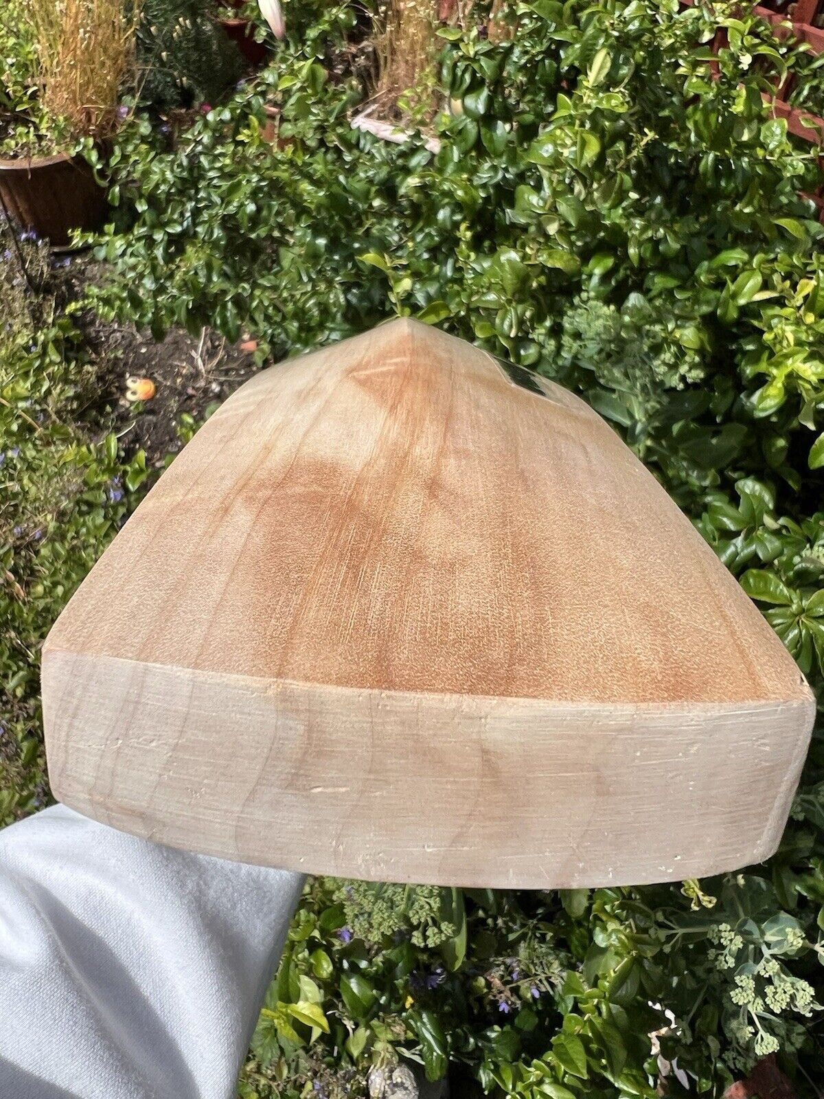 KI Butterfly Willow Cricket Bat Short Handle 2lbs 10oz