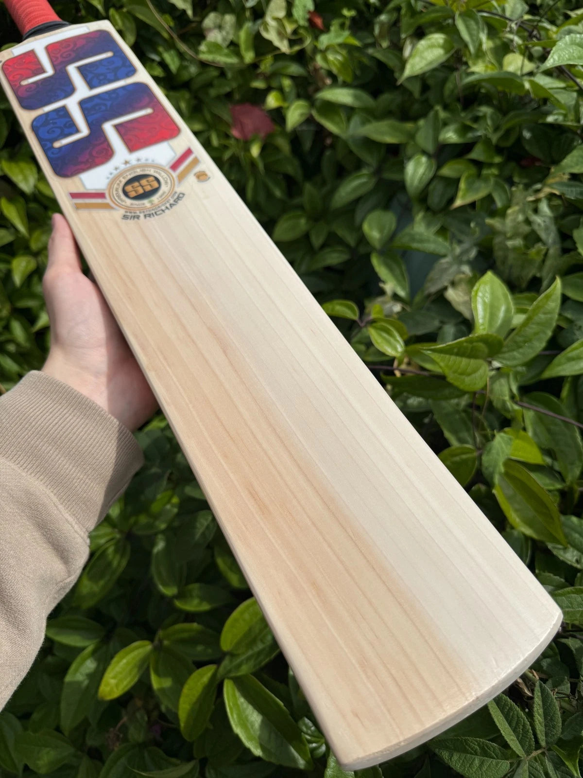 SS TON Sir Viv Richard Cricket Bat Short Handle