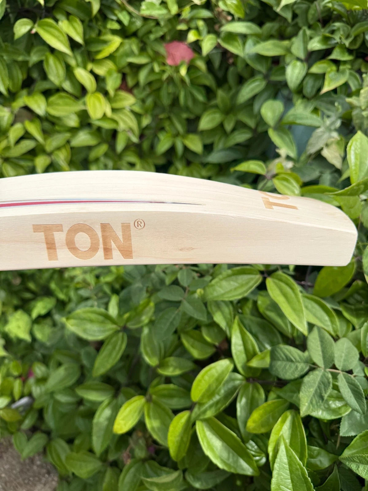 SS TON Sir Viv Richard Cricket Bat Short Handle
