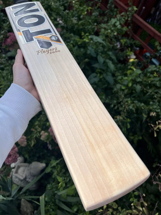 SS TON Pro Players Edition Cricket Bat Short Handle