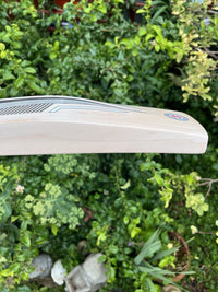 Gray Nicolls Limited Edition Lightweight Cricket Bat SH 2lbs 8oz