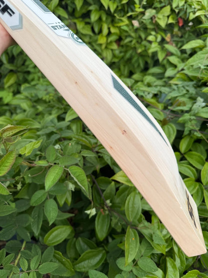 SF Stanlite Cricket Bat 2lbs 9oz - 67mm Spine