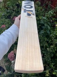 SS TON Pro Players Edition Cricket Bat Short Handle