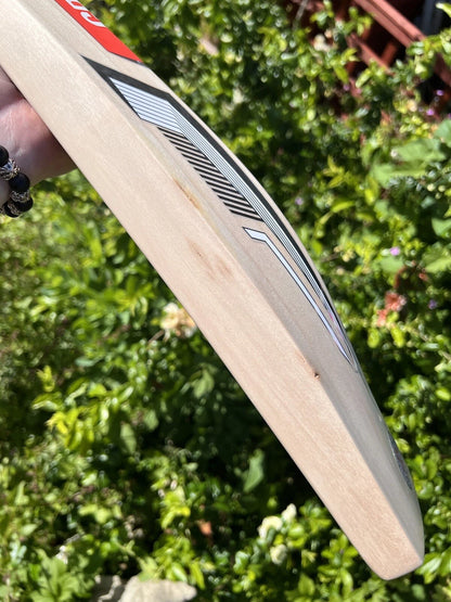 Gray Nicolls Delta 3.0 Limited Edition Cricket Bat SH 2lbs 10oz