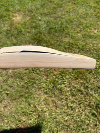 SS TON Quinton De Kock Players Cricket Bat Short Handle
