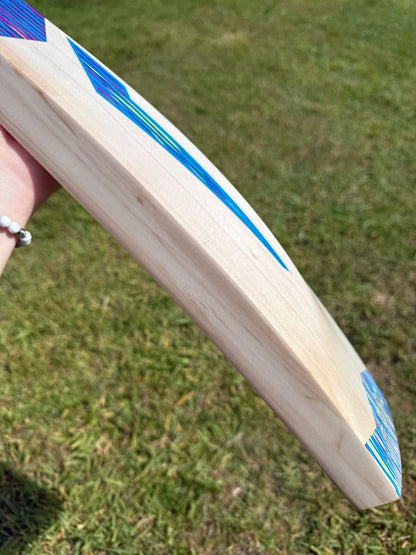 DSC Blu 100 Cricket Bat 2lbs 9oz