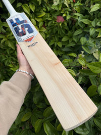 SF Stanford Blaster 7000 Cricket Bat SH 2lbs 10oz