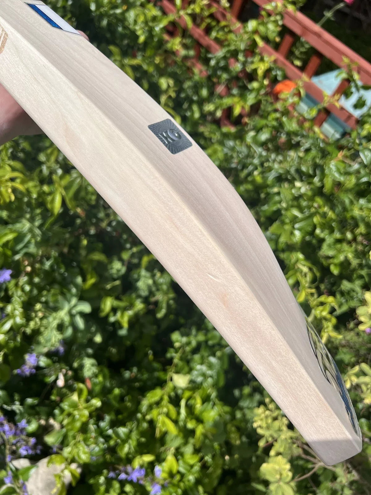 KG DON Cricket Bat SH 2lbs 9oz