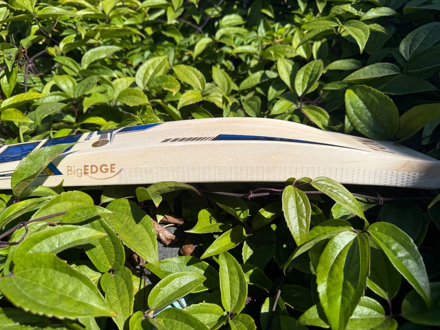 SS TON Nicholas Pooran Players Cricket Bat Short Handle