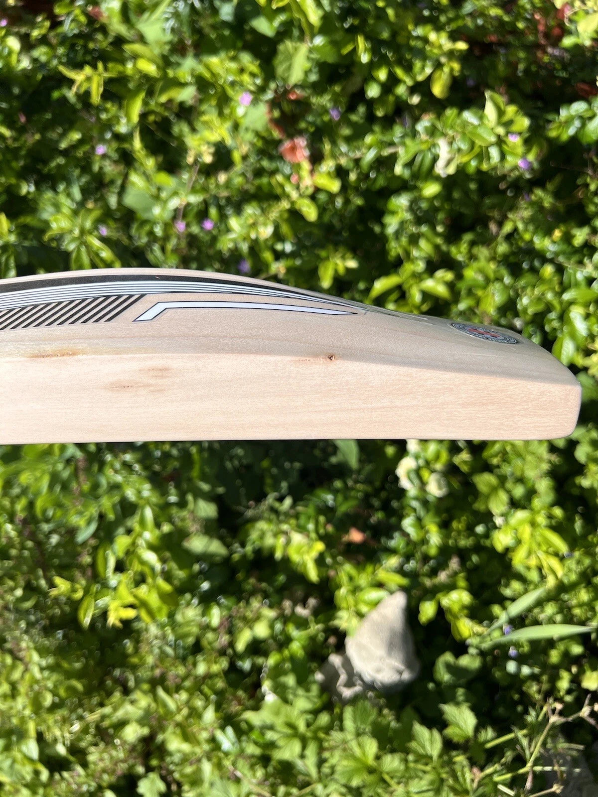 Gray Nicolls Delta 3.0 Limited Edition Cricket Bat SH 2lbs 10oz