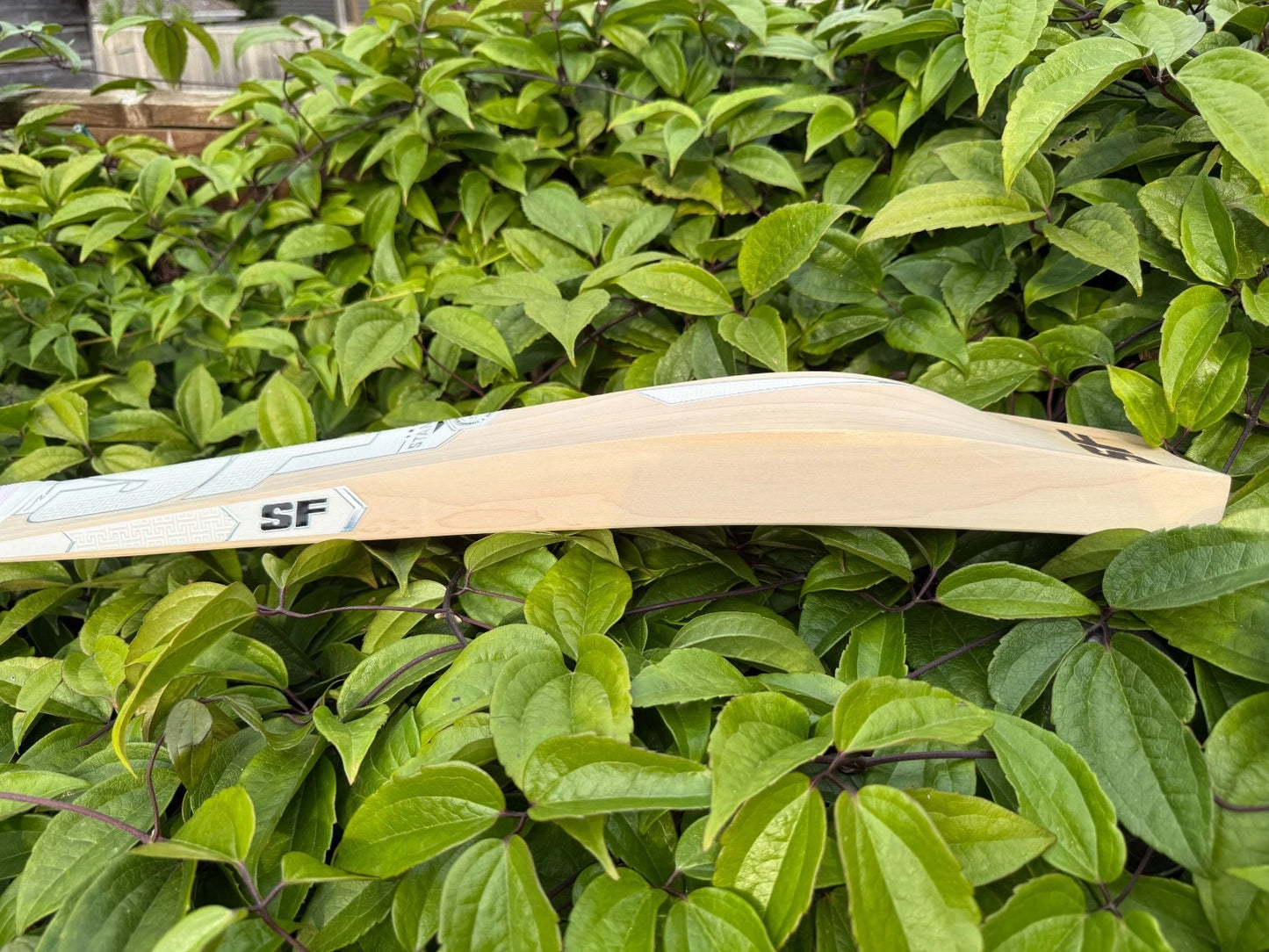 SF Stanford Gradiges 9000 Cricket Bat SH 2lbs 10oz