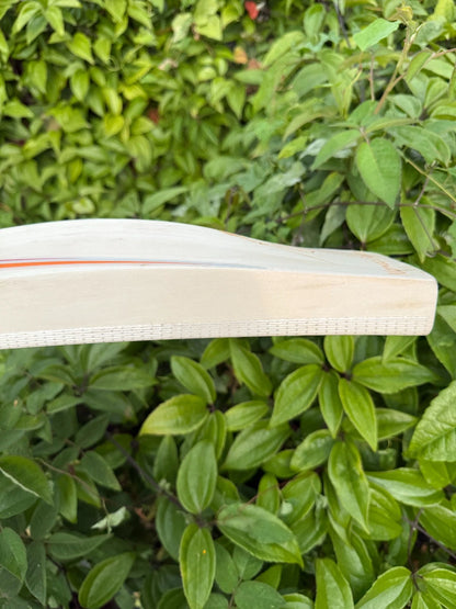 SS TON Players 5000 Cricket Bat Short Handle 2lbs 9oz
