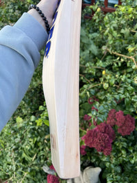 SS TON Players 3000 Players Edition Cricket Bat Short Handle