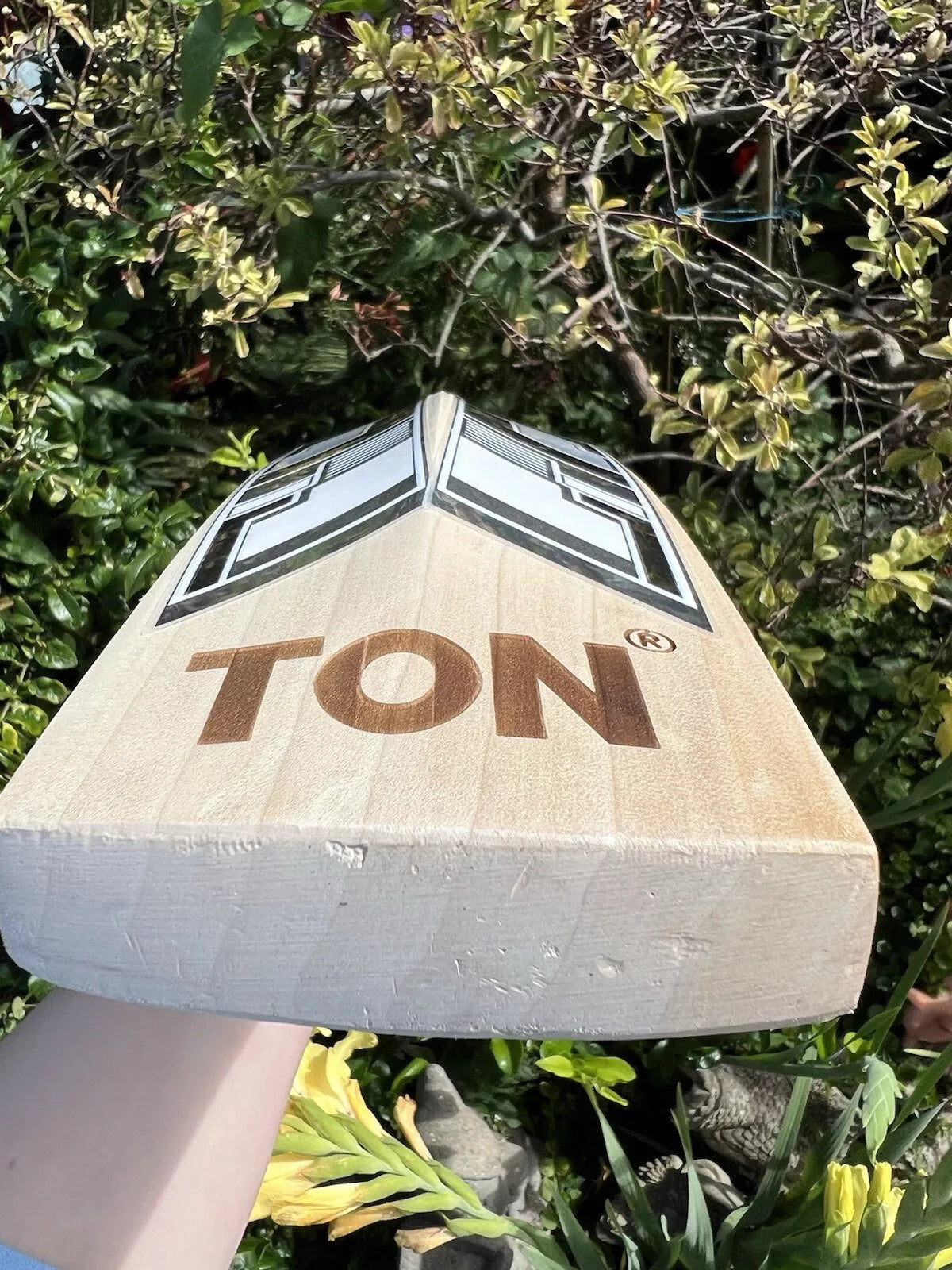 SS TON Master 99 Cricket Bat Short Handle 2lbs 10oz