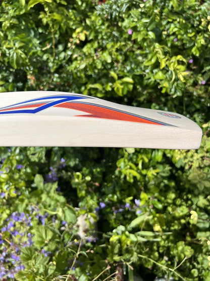 Gray Nicolls Hypernova Limited Edition Cricket Bat SH 2lbs 9oz