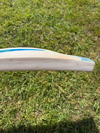 DSC Blu 100 Cricket Bat 2lbs 9oz