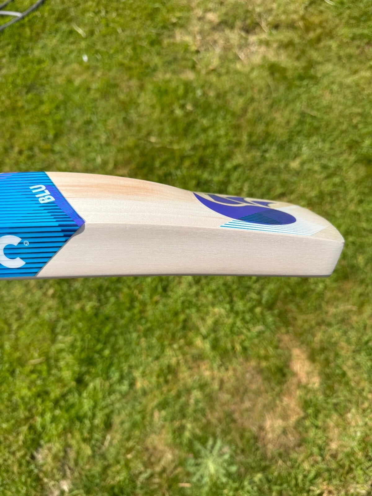 DSC Blu 100 Cricket Bat Short Handle 2lbs 10oz