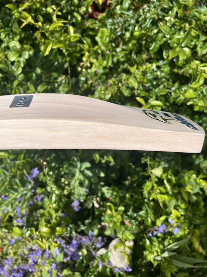 KG DON Cricket Bat SH 2lbs 9oz