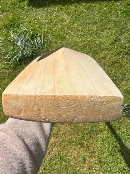 SG Century Classic Lightweight Cricket Bat SH 2.8