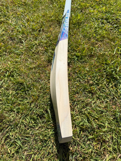 DSC Blu 100 Cricket Bat 2lbs 9oz
