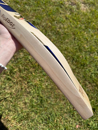 SS TON Quinton De Kock Players Cricket Bat Short Handle