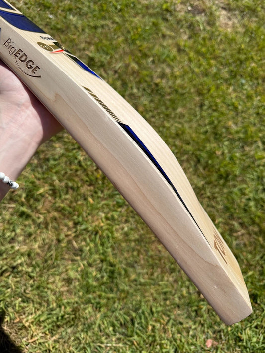 SS TON Quinton De Kock Players Cricket Bat Short Handle