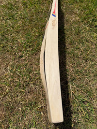 SS TON Quinton De Kock Players Cricket Bat Short Handle