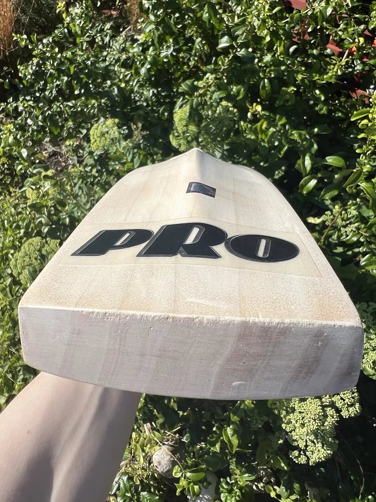 Protos Blizzard FC Sondhi Cricket Bat SH 2lbs 10oz.