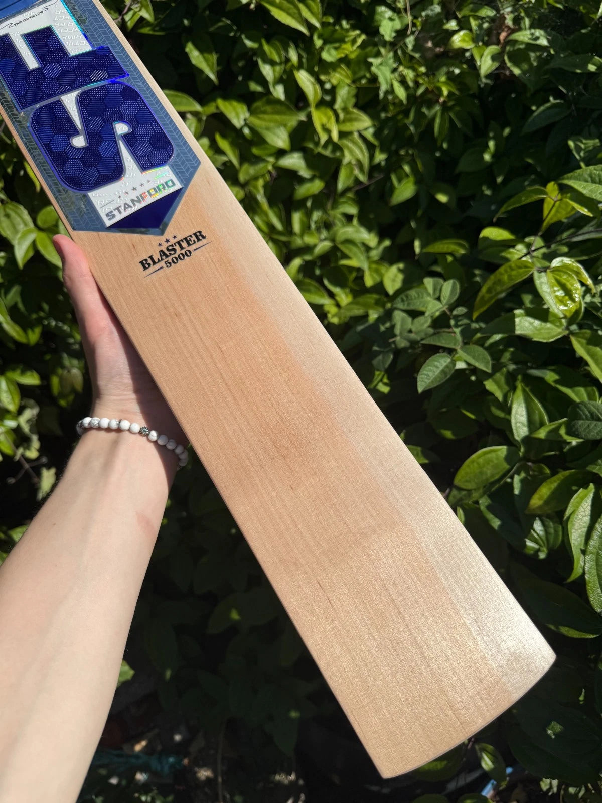 Sf Bat SF Stanford Blaster 5000 Cricket Bat SH - 21 Grains – The Bat Garden