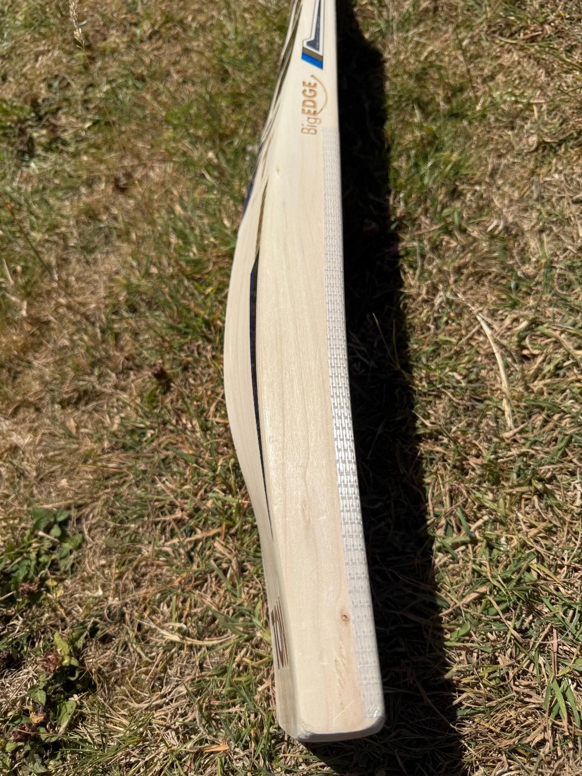 SS TON Nicholas Pooran Players Cricket Bat Short Handle