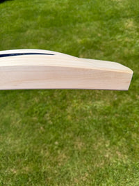 DSC BLAK 222 Cricket Bat Short Handle 2lbs 9oz