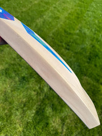 DSC BLU 111 Cricket Bat Short Handle 2lbs 8oz