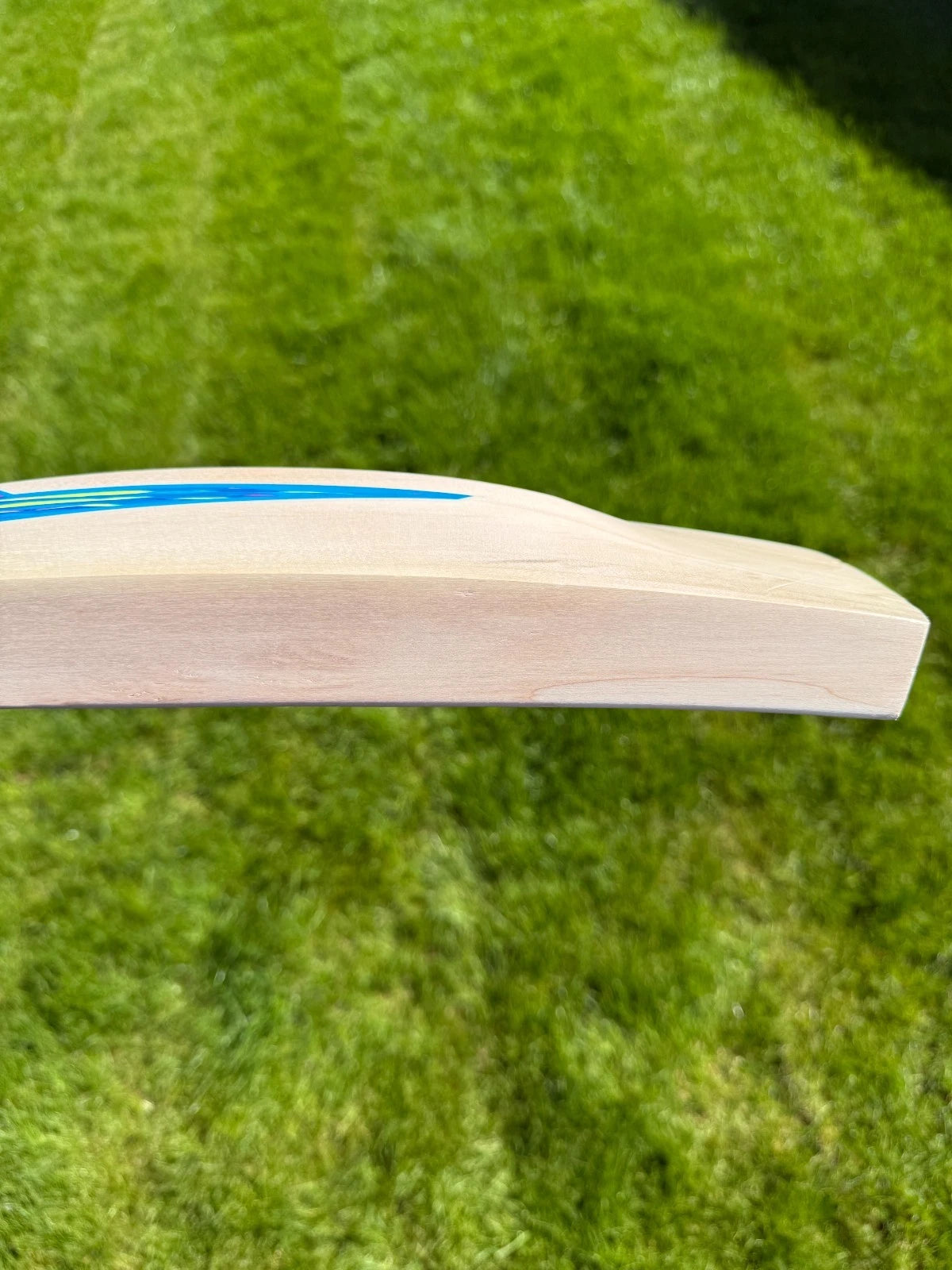 DSC BLU 111 Cricket Bat Short Handle 2lbs 8oz