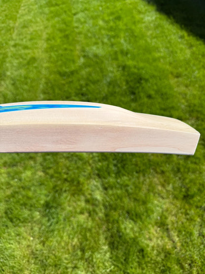 DSC BLU 111 Cricket Bat Short Handle 2lbs 8oz