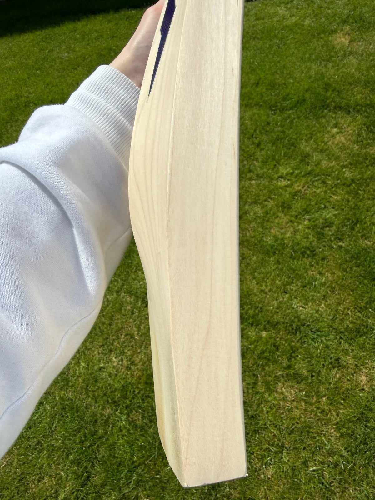 DSC BLU 222 Cricket Bat Short Handle 2lbs 9oz