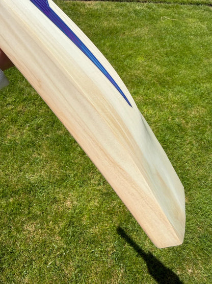DSC BLU 222 Cricket Bat Short Handle 2lbs 9oz