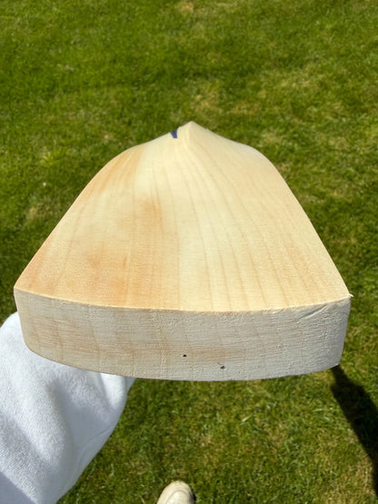 DSC BLU 222 Cricket Bat Short Handle 2lbs 9oz