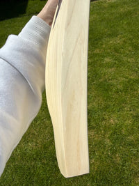 DSC BLAK450 Grade 1 Lightweight Cricket Bat
