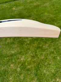 DSC BLAK450 Grade 1 Lightweight Cricket Bat