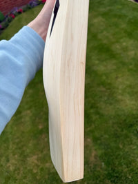 DSC SPLIIT 200 Gauge Filler Cricket Bat Short Handle 2lbs 9oz