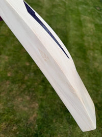 DSC SPLIIT 200 Gauge Filler Cricket Bat Short Handle 2lbs 9oz