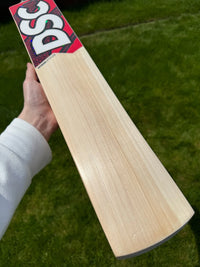 DSC Intense Attitude Cricket Bat Short Handle 2lbs 9oz
