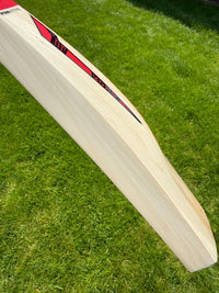 DSC Intense Attitude Cricket Bat Short Handle 2lbs 9oz