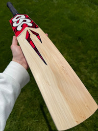 DSC Intense Attitude Cricket Bat Short Handle 2lbs 9oz