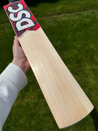 DSC Intense Attitude Cricket Bat Short Handle 2lbs 9oz